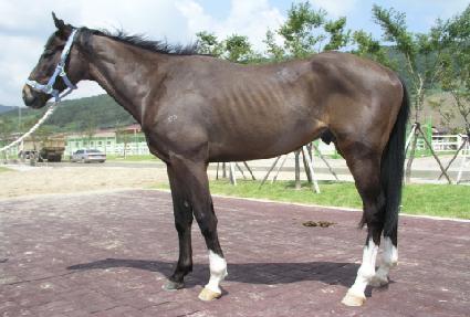 ��ȭ�� ����