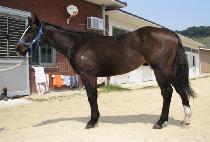 ��¹��� (SANGSEUNG MOOD) ����