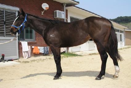 ��¹��� ����