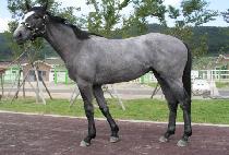 ���鵹ǳ (EUNBAEK DOLPUNG) ����