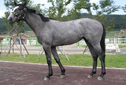 ���鵹ǳ ����