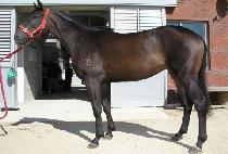 ���Ǽ� (ONE MAN SHOW) ����