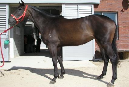 ���Ǽ� ����