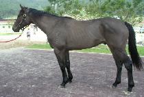 �����µ��� (KKEUDEOMNEUNDOJEON) ����