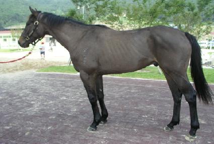 �����µ��� ����