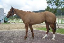 ȣ�ȼ� (HOANSEOK) ����