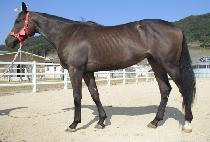 ���·� (BULTAERYEONG) ����