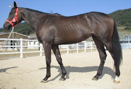 ���·� ����