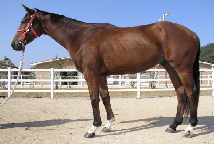 �����ҿ� ����