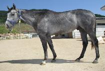 Ȳ������ (HWANGGEUM JUJA) ����