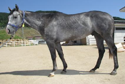 Ȳ������ ����