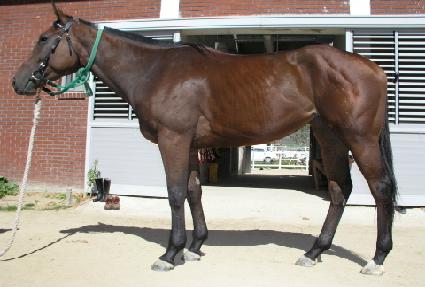 ��ǻŸ����忣�� ����