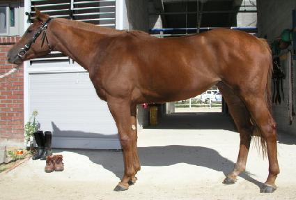 �Ŵ����� ����