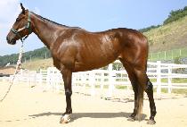 �ع� (HAEBEOP) ����