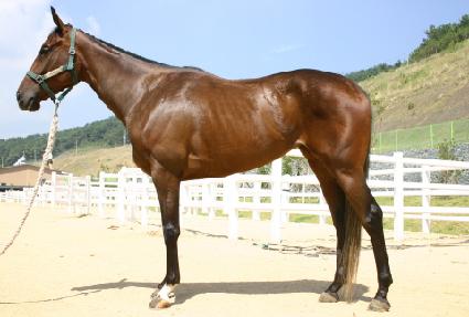 �ع� ����