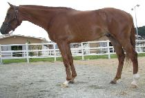 ���ǹ̼� (SINUI MISO) ����