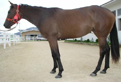 ������ ����