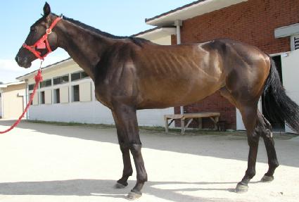 �ۼ���������Ʈ ����