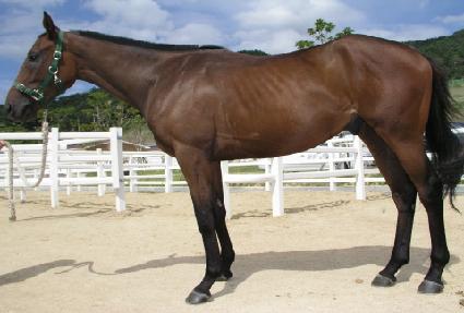 ���ε����� ����