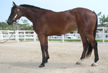 ���� ����