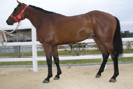 ���ص��� ����