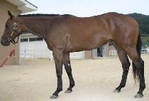 �������̺��� (FRIZZLEY BEAR) ����