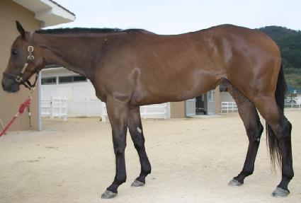 �������̺��� ����