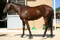 �������� (MYEONGMUN YEOWANG) ����