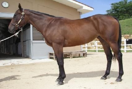 ����˷�Ÿ ����