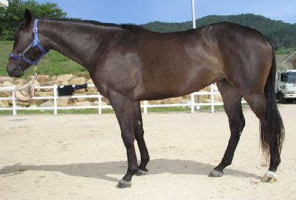 �̽�������Ʈ���� ����