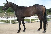 ����� (LILANET) ����