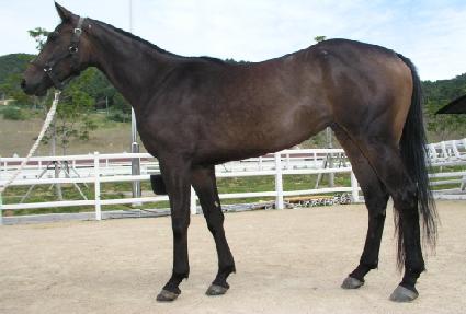 ����� ����