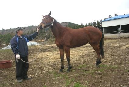 �������� ����