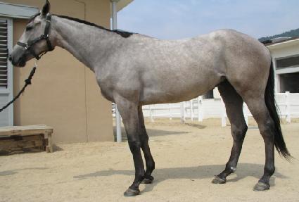 ��ť�������̾� ����