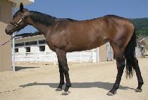 �̽��� (ISIMI) ����