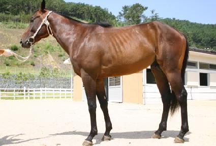 �������������� ����