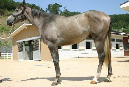 ����� ����