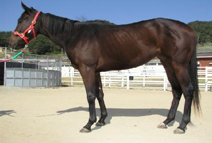 ������ ����