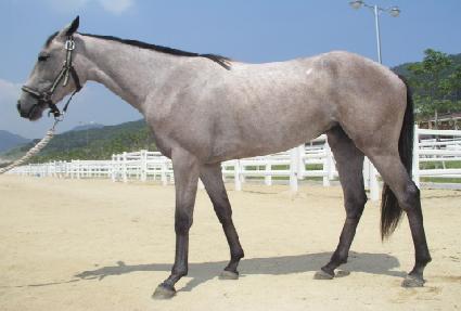 ����ǲ ����