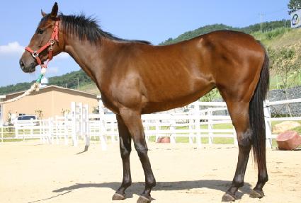 �ڸ�ť���� ����