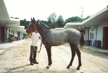 ����� ����