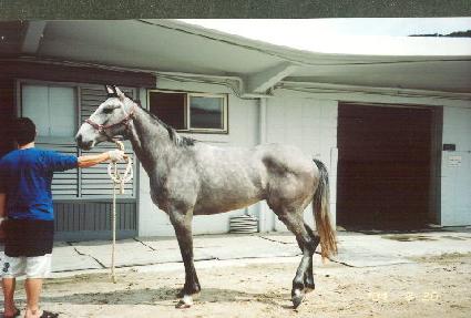 ���� ����