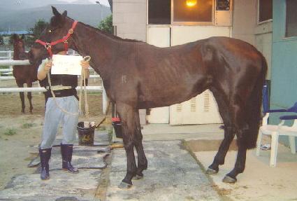 ���̽Ŵ� ����