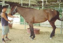 �޼ҵ��� (METHODICAL) ����