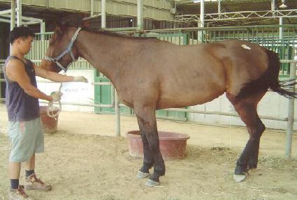 �޼ҵ��� ����