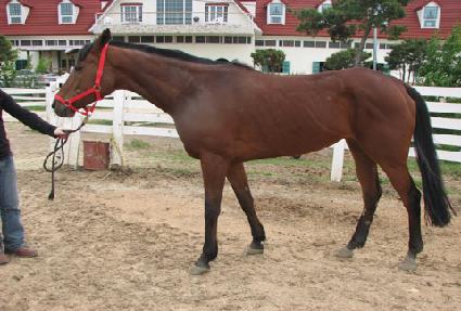 ��ũ���Ƴ� ����