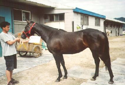 �㸮���ν��� ����