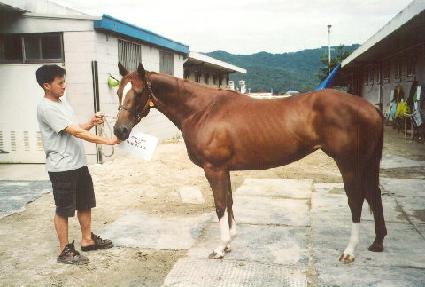 �������� ����