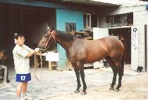 �̷���� (MIRAE HUIMANG) ����