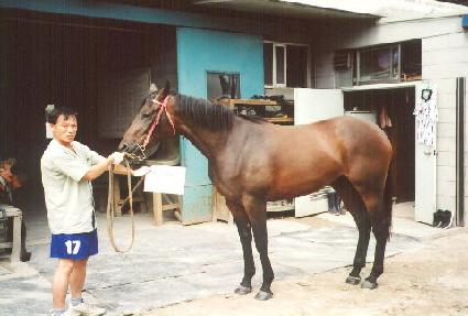 �̷���� ����